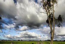 欢迎使用Z-BlogPHP!