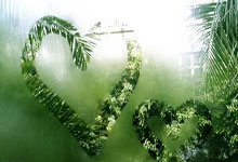 苹果手机发烫耗电量快怎么回事?(iphone发烫电池耗电很快什么原因)