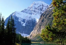 苹果手机发烫还原所有设置有用吗(苹果手机发热还原所有设置会不会好点)