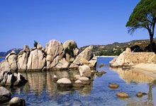 苹果手机发烫耗电量快怎么回事?(iphone发烫电池耗电很快什么原因)